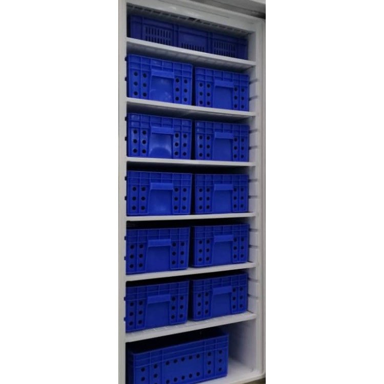 Armario Congelados GN2/1 con 12 Cajones Acero Inoxidable 600 litros de 775x750x1850h mm PEKÍN DF600SS-C